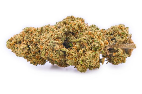 Bud CBD Cannatonic Outdoor cultivé en France | Fleur CBD testée MONPLANCBD