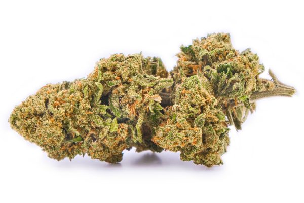 Deux buds fleur CBD Cannatonic Outdoor | Fleurs de chanvre France | Myrcene Pinene