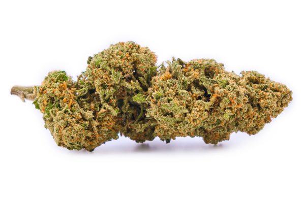 Gros plan fleur CBD Cannatonic Outdoor France | Buds 11.51% CBD Myrcene Pinene MONPLANCBD
