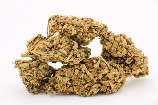 V1 Indoor - CBD : 2,47% – Image 2