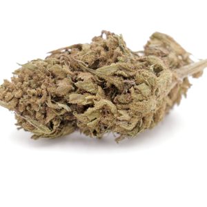 Gelato cbd