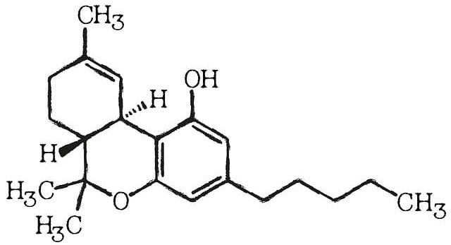 tetrahydrocannabinol