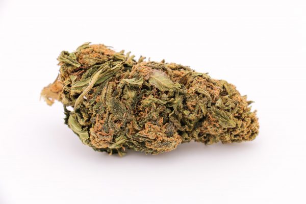 CBD Gorilla Kush