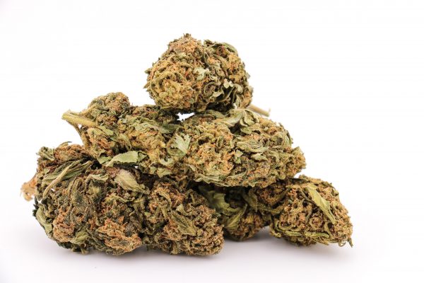 CBD Gorilla Kush 3