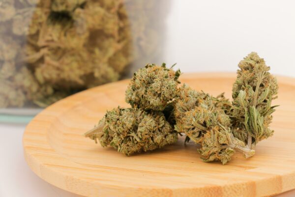 Snow White Greenhouse - CBG : 6,96% – Image 3
