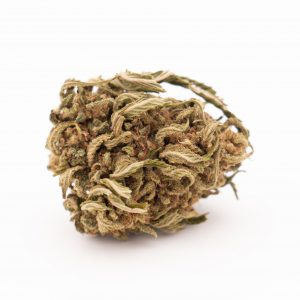Harlequin cbd 1