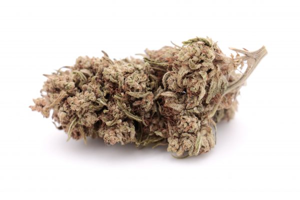 cbg haze 1