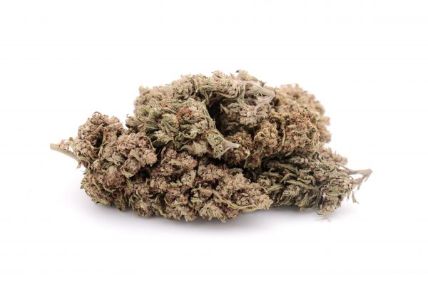 cbg haze 2