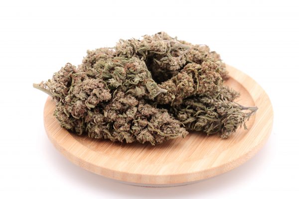 cbg haze 3