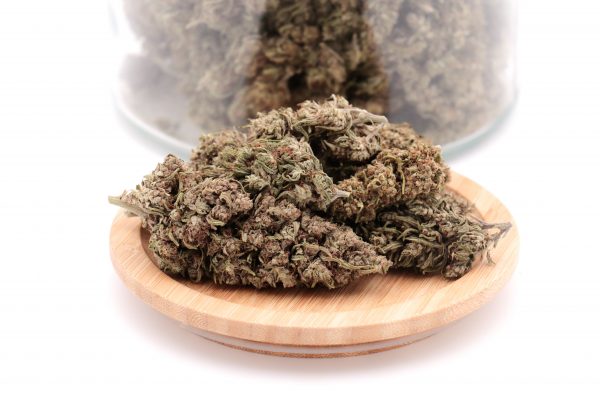 cbg haze 4