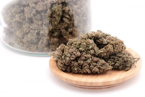 cbg haze 5