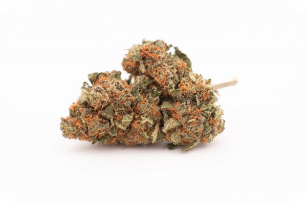 Orange Bud CBD 1