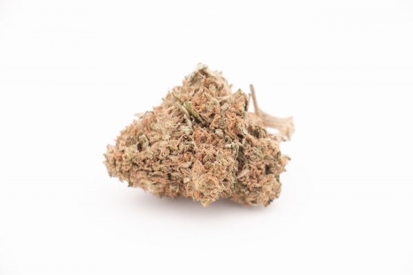 CHEESE cbd