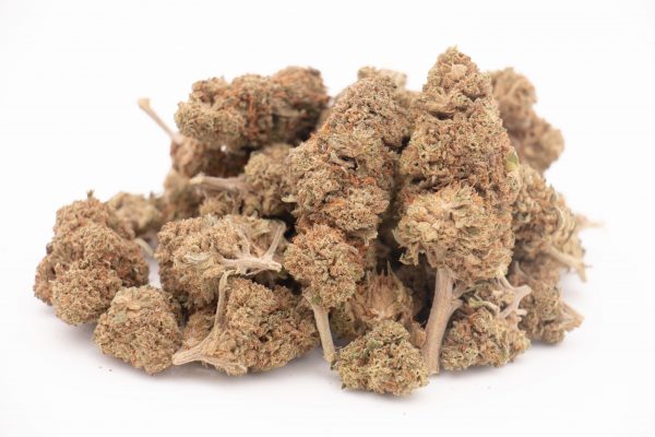 cheese cbd 2