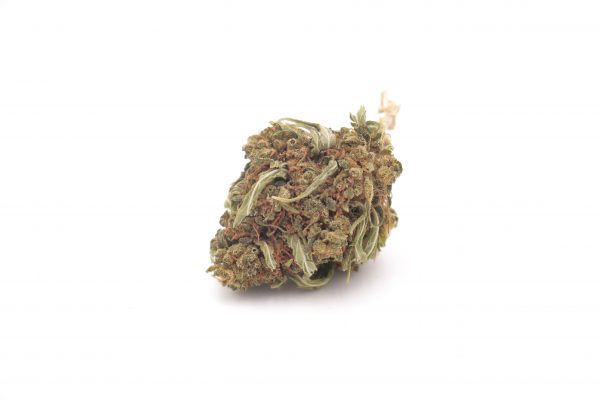 colossal cbd 1