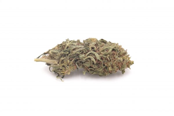 colossal cbd 2