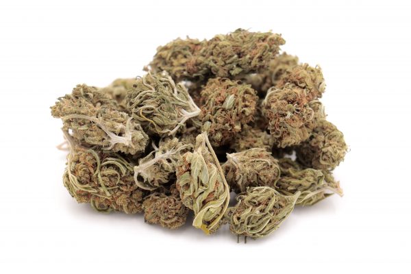 colossal cbd 3