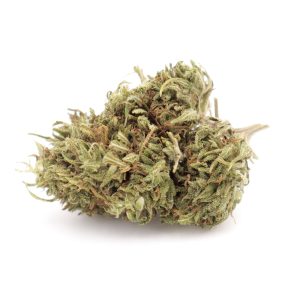 mango breizh cbd