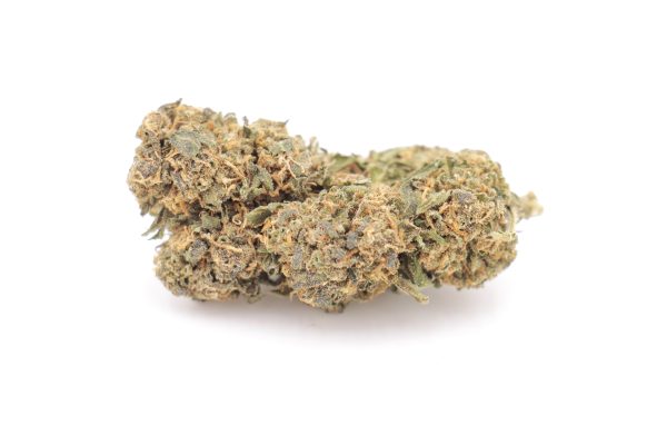 Obi wan cbd