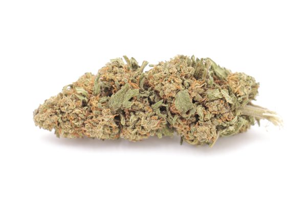 Obi wan cbd