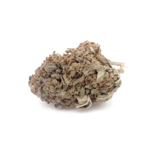 Sherbert CBD