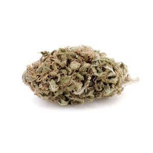 moby dick cbd