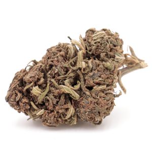 GORILLA GIRL CBD