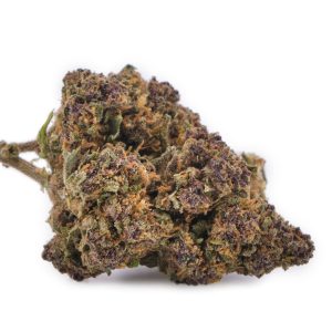 Tête de Sapphire Kush CBD française riche en anthocyanes violets et pistils orangés sur sa tige.