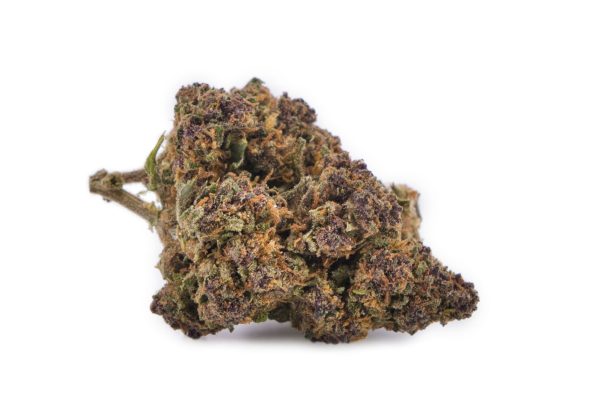 Tête de Sapphire Kush CBD française riche en anthocyanes violets et pistils orangés sur sa tige.