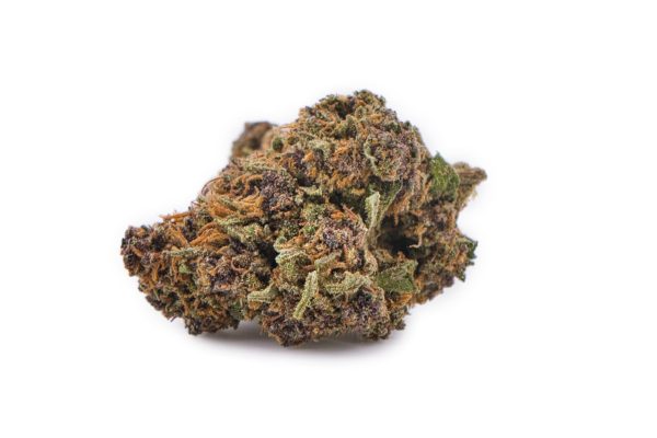 Gros plan sur fleur Sapphire Kush CBD outdoor aux couleurs pourpres intenses et pistils orange vif.