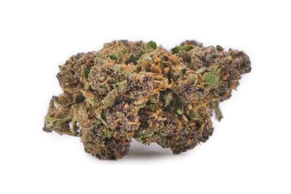 Fleur Sapphire Kush CBD premium - gros plan sur bourgeon dense violet fruité et légèrement résineux.