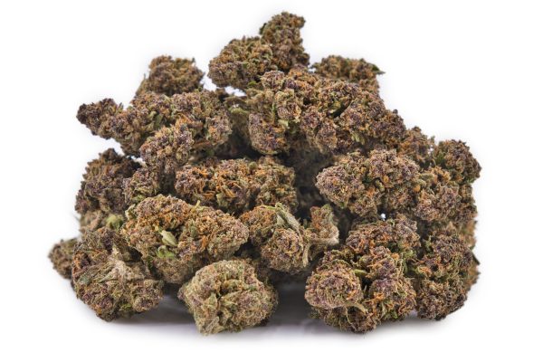 Lot de fleurs Sapphire Kush CBD MONPLANCBD - têtes violettes premium cultivées en France.