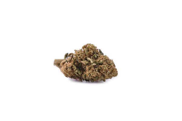 Bud CBD Gorilla Glue Outdoor testé en laboratoire | 13.76% CBD légal France
