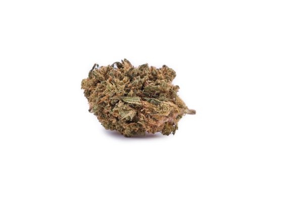 Gros plan fleur CBD Gorilla Glue Outdoor | Bud France 13.76% CBD Pinene Limonene Linalol