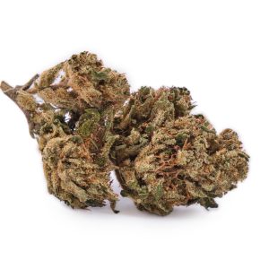 Deux buds fleur CBD Gorilla Glue Outdoor | Fleurs de chanvre CBD France | Pinene Limonene