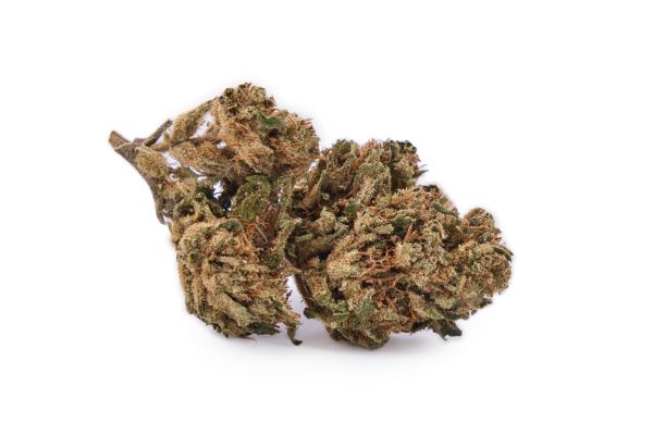 Deux buds fleur CBD Gorilla Glue Outdoor | Fleurs de chanvre CBD France | Pinene Limonene