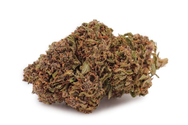Fleur CBD Blue Meringue Greenhouse bud | 10.83% CBD France | Acheter CBD MONPLANCBD