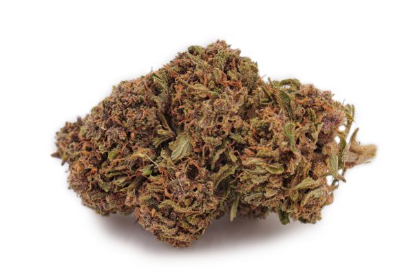 Gros plan fleur CBD Blue Meringue Greenhouse | Buds France 10.83% CBD Myrcene Limonene MONPLANCBD