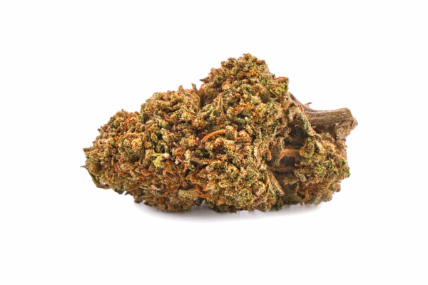 Il s'agit d'une image de fleur de RAINBOW GAZ CBD