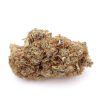Fleur CBD Grape Berry Hydroponique Suisse | Bud 8.10% CBD Myrcene Linalol MONPLANCBD