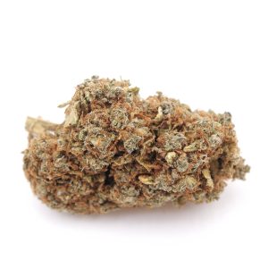 Fleur CBD Grape Berry Hydroponique Suisse | Bud 8.10% CBD Myrcene Linalol MONPLANCBD