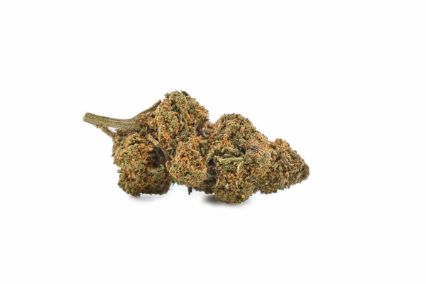 Petite branche de fleur CBD Mandarin Cookie Outdoor pas cher