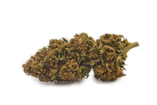 Amas de têtes de fleur CBD Wild Strawberry Indoor MONPLANCBD, montrant les pistils orange vifs et la structure dense.