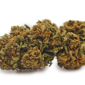 Fleur CBD Wild Strawberry Indoor MONPLANCBD - Gros plan sur des têtes denses et orangées sur fond blanc.