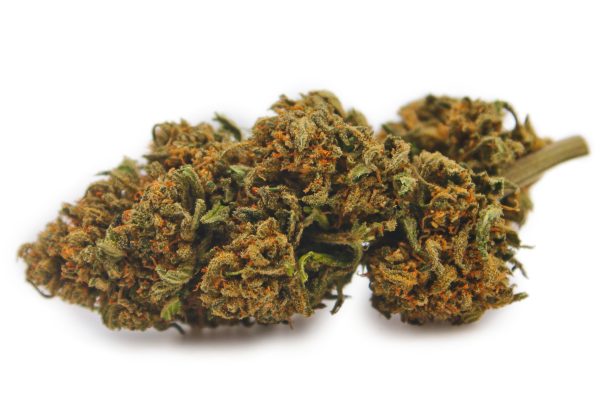 Fleur CBD Wild Strawberry Indoor MONPLANCBD - Gros plan sur des têtes denses et orangées sur fond blanc.