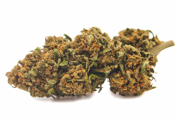 Photo de la fleur de la variété WILD STRAWBERRY CBD