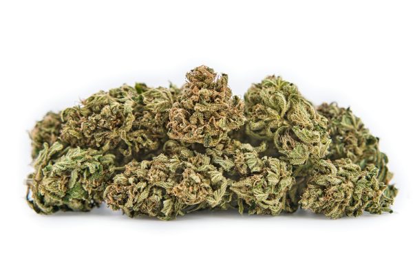 Gros plan pile buds CBD Rocanna Outdoor Premium | Fleurs CBD France testées MONPLANCBD
