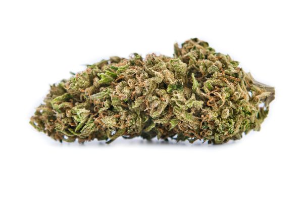 Fleur CBD Rocanna Outdoor Premium France | Bud 8.08% CBD Limonene Linalol Piperine MONPLANCBD