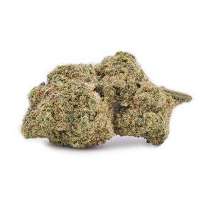 Fleur CBD Malabar Indoor Premium Suisse | Bud 12.51% CBD Myrcene Caryophyllene MONPLANCBD