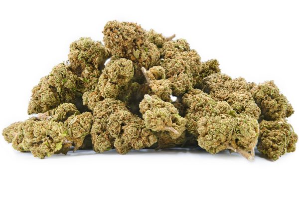 Buds de fleur CBD Blueberry Outdoor française légale - MONPLANCBD